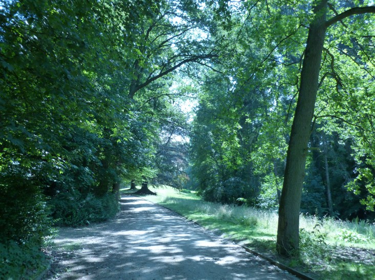 Une jolie allée du parc.